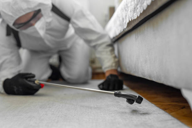 Professional Cockroach Control technician working in Zebulon, GA